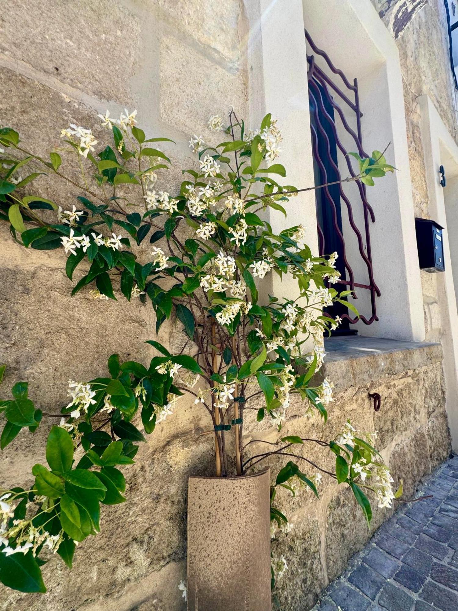 Maison De Village Renovee ! Le Grau-du-Roi Dış mekan fotoğraf