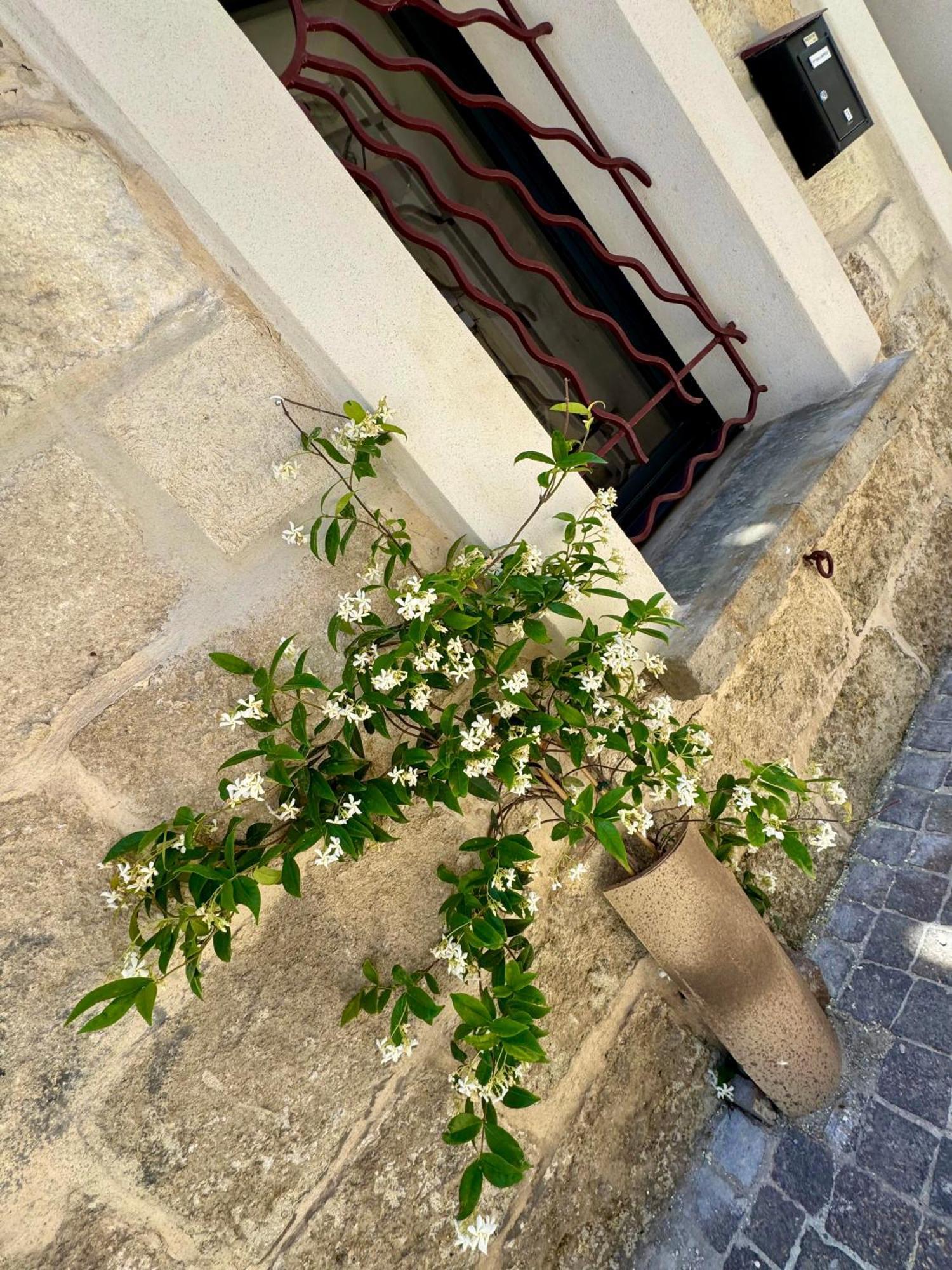 Maison De Village Renovee ! Le Grau-du-Roi Dış mekan fotoğraf